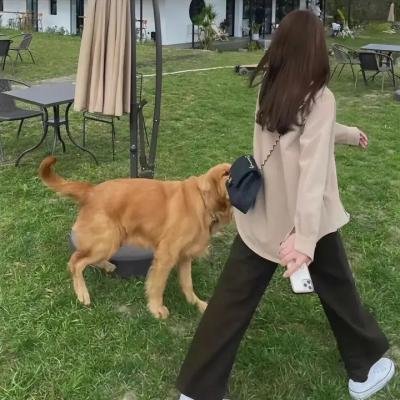 盲女惊魂